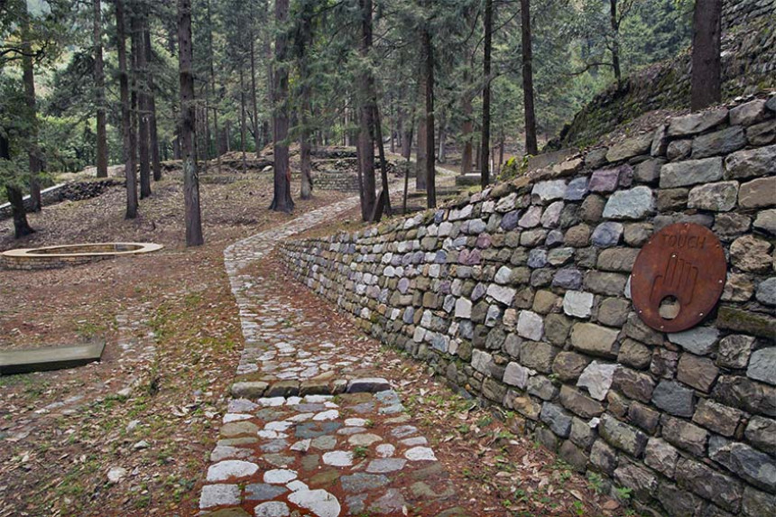 一座松树林中的公共纪念公园（Sensorium Park）丨印度丨Compartment S4-25