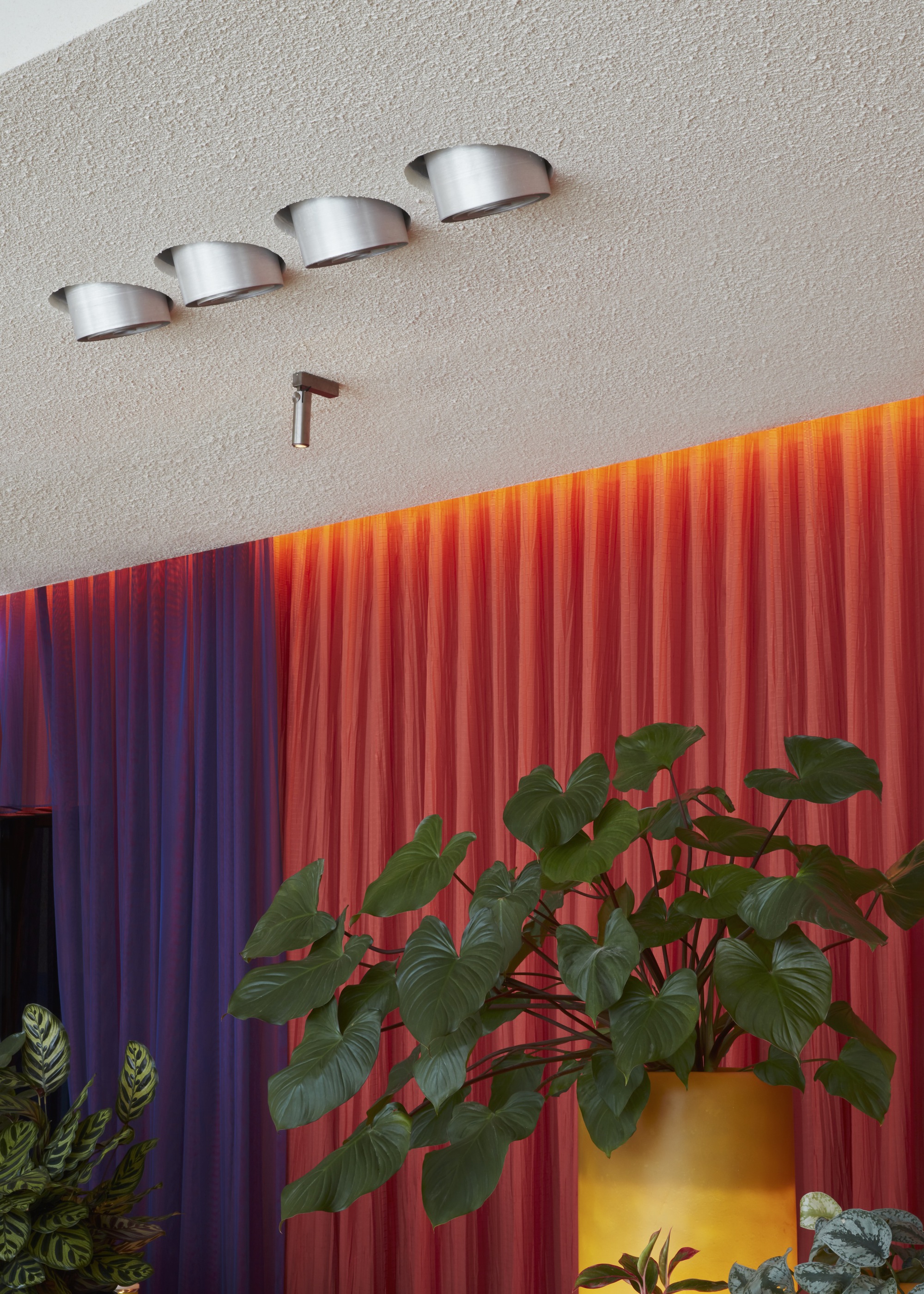 翁达食品和饮料,骨头丨阿联酋迪拜-12