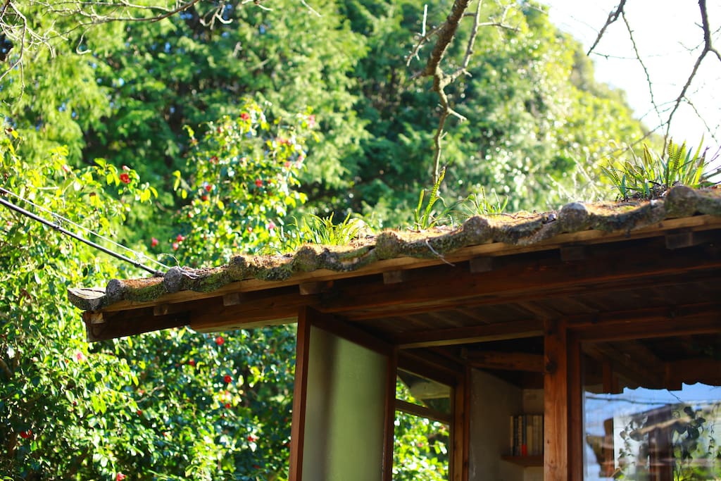 日式风格小木屋室内设计-44