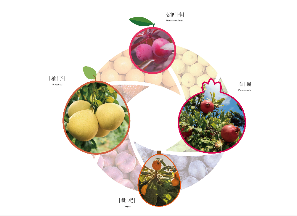 恒大重庆湖景园林丨中国重庆丨恒大集团重庆公司-47