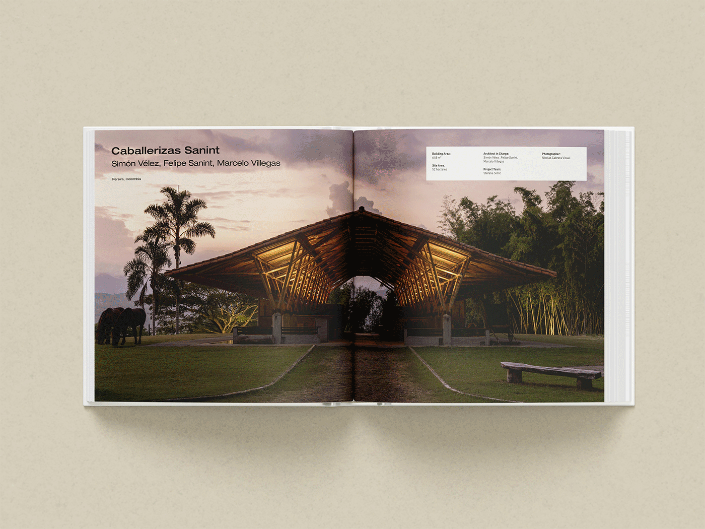 马厩·里佐利编辑设计丨Rizzoli International Publishing-12