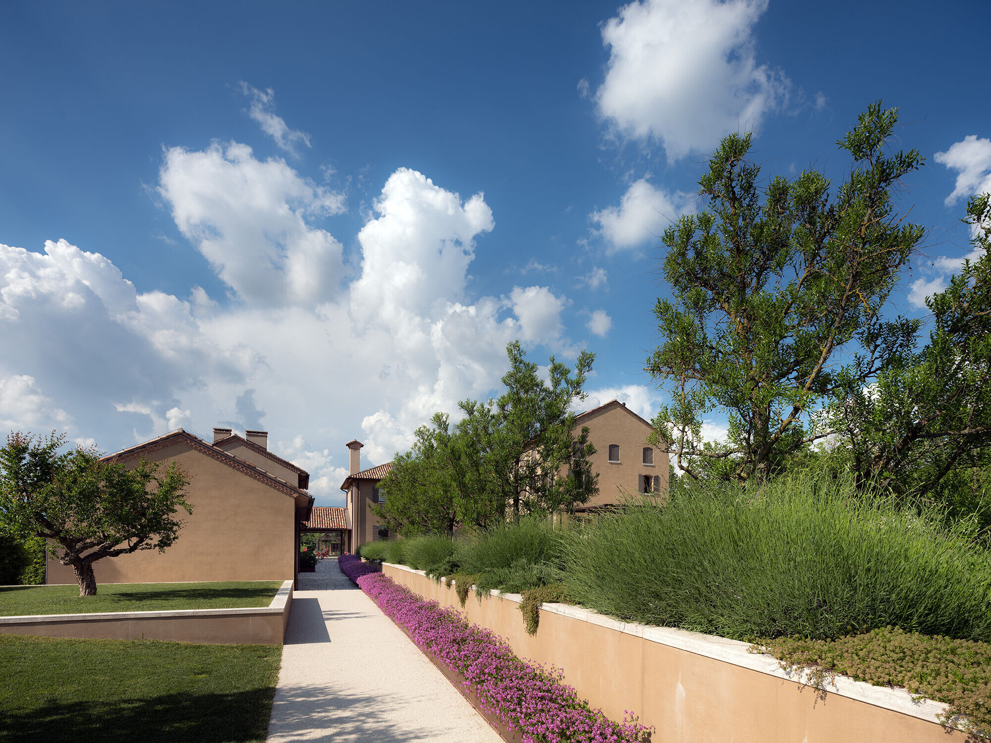 意大利 Collalto 山丘住宅的绿色更新-8