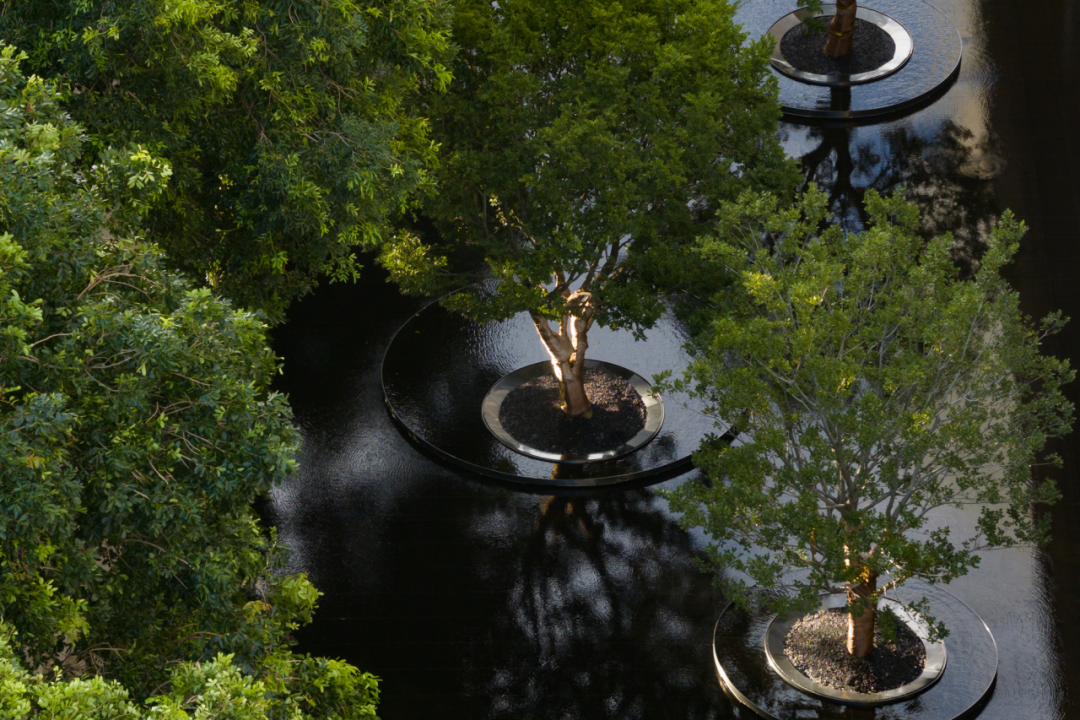 自然之森·艺术生活 | 华润置地旗下湛江润府-5