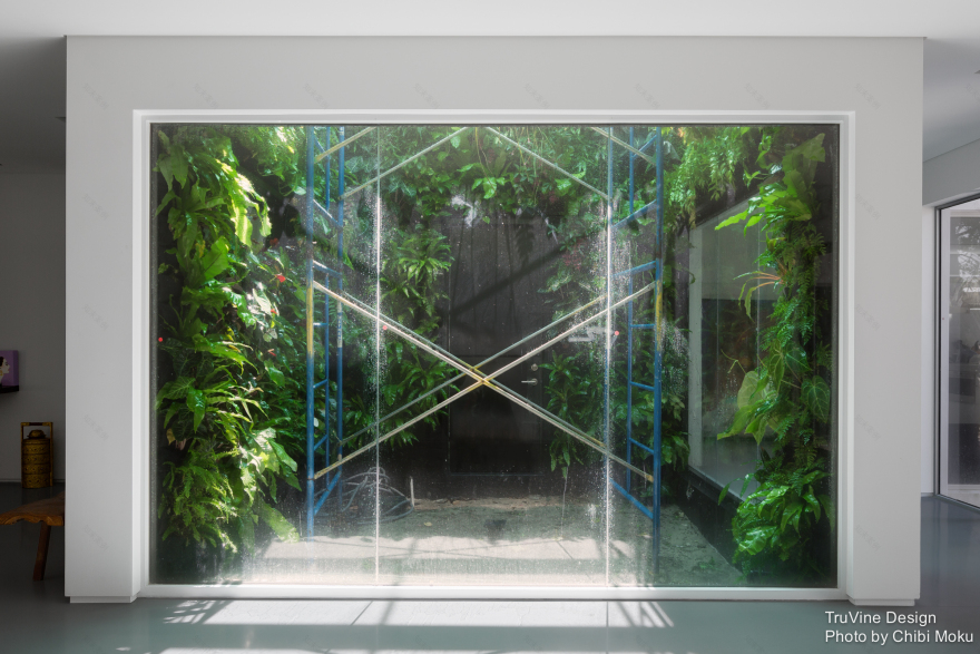 佛罗里达生态绿墙-11