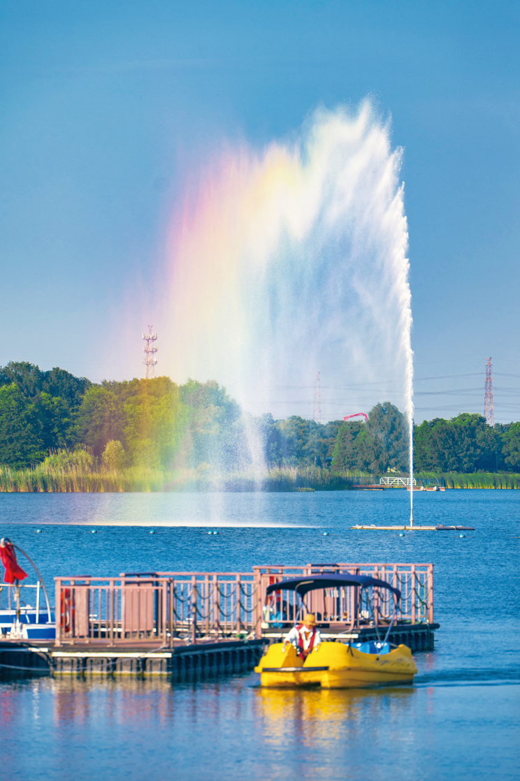 勝地|到公园去探探“动静”！-25