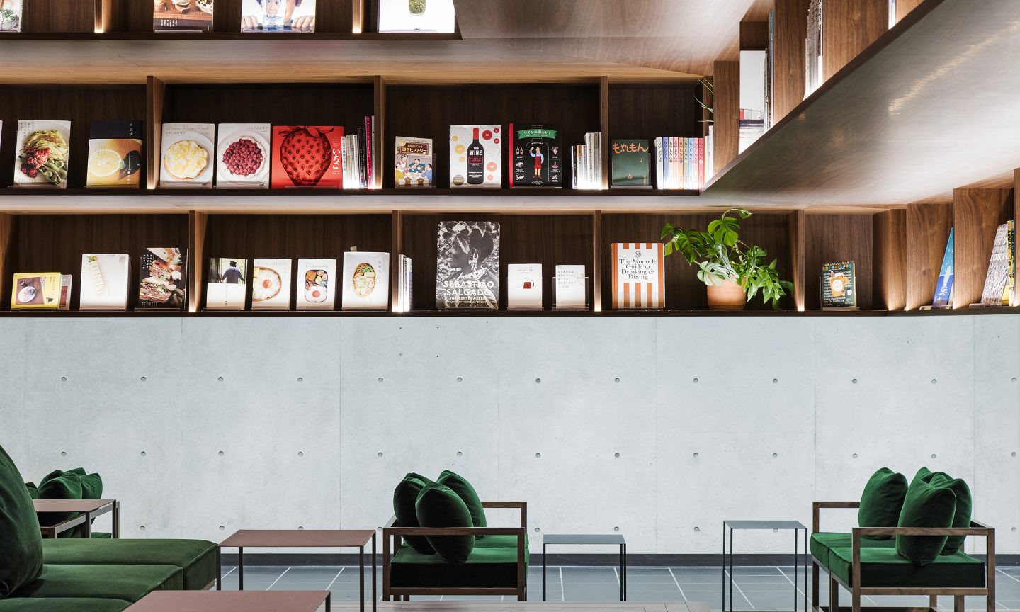 みちのきち 本の木  Suppose Design-8