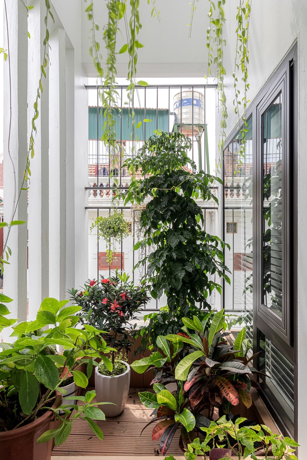 风之谷的绿意之家-44