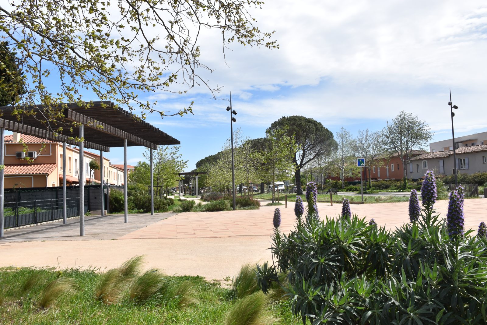 Boulevard Théodore  Aubanel 道路改造项目-53