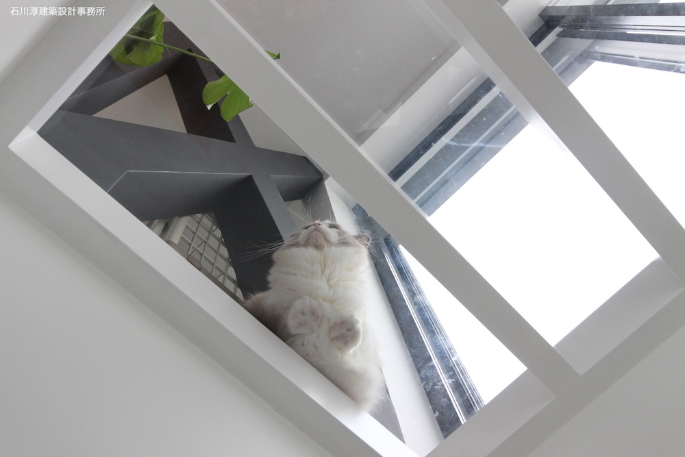 公園前の家 OUCHI 44丨日本京都丨石川淳建築設計事務所-24