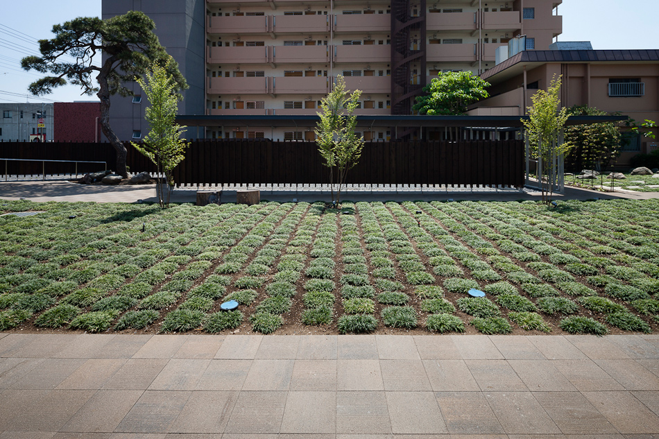 橙韵花园 · 日本茨城县独特办公楼设计丨O.F.D.A. associates 建筑事务所-31
