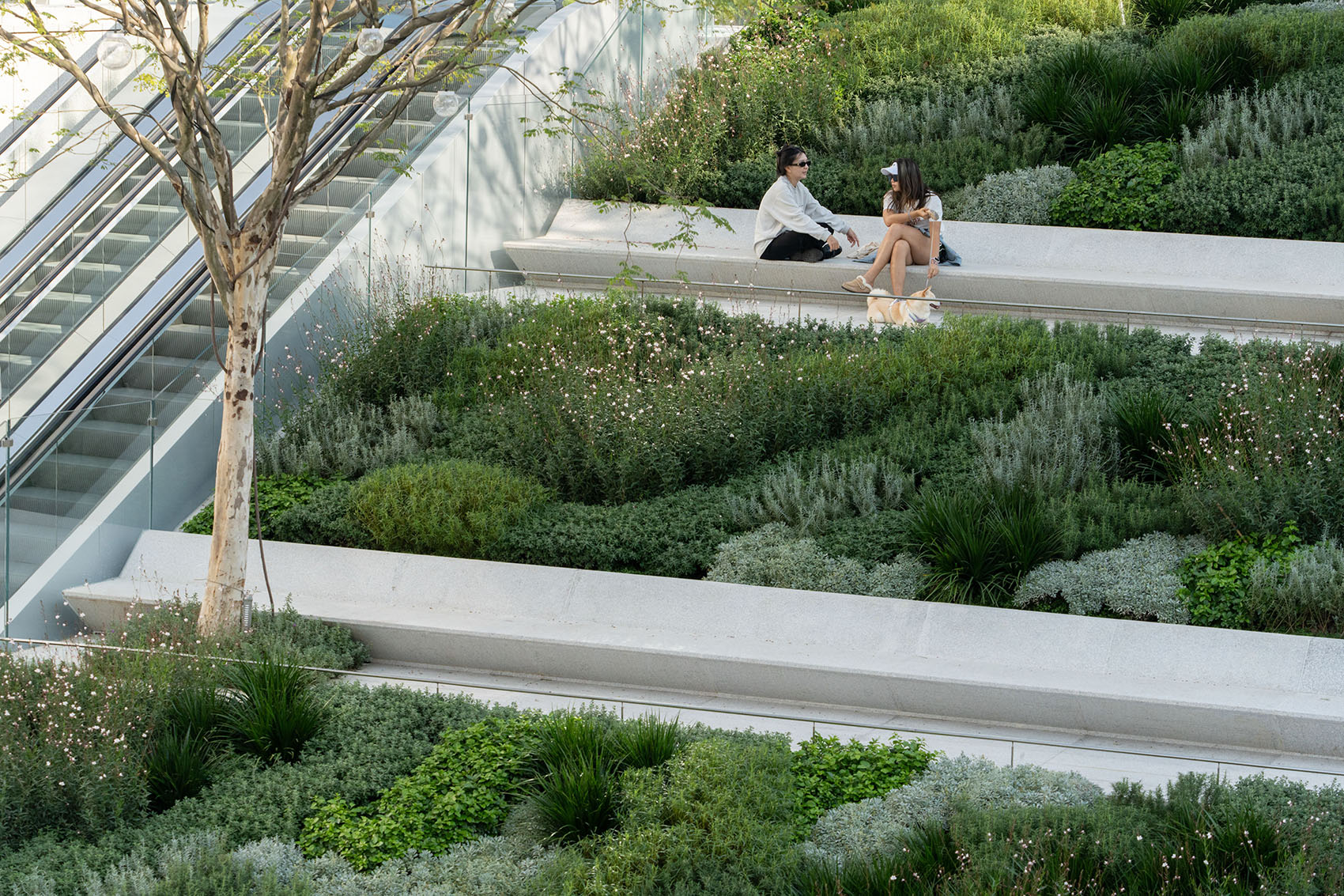 深圳湾万象城二期丨中国深圳丨iPD,grant associates,OVAL等多家-59