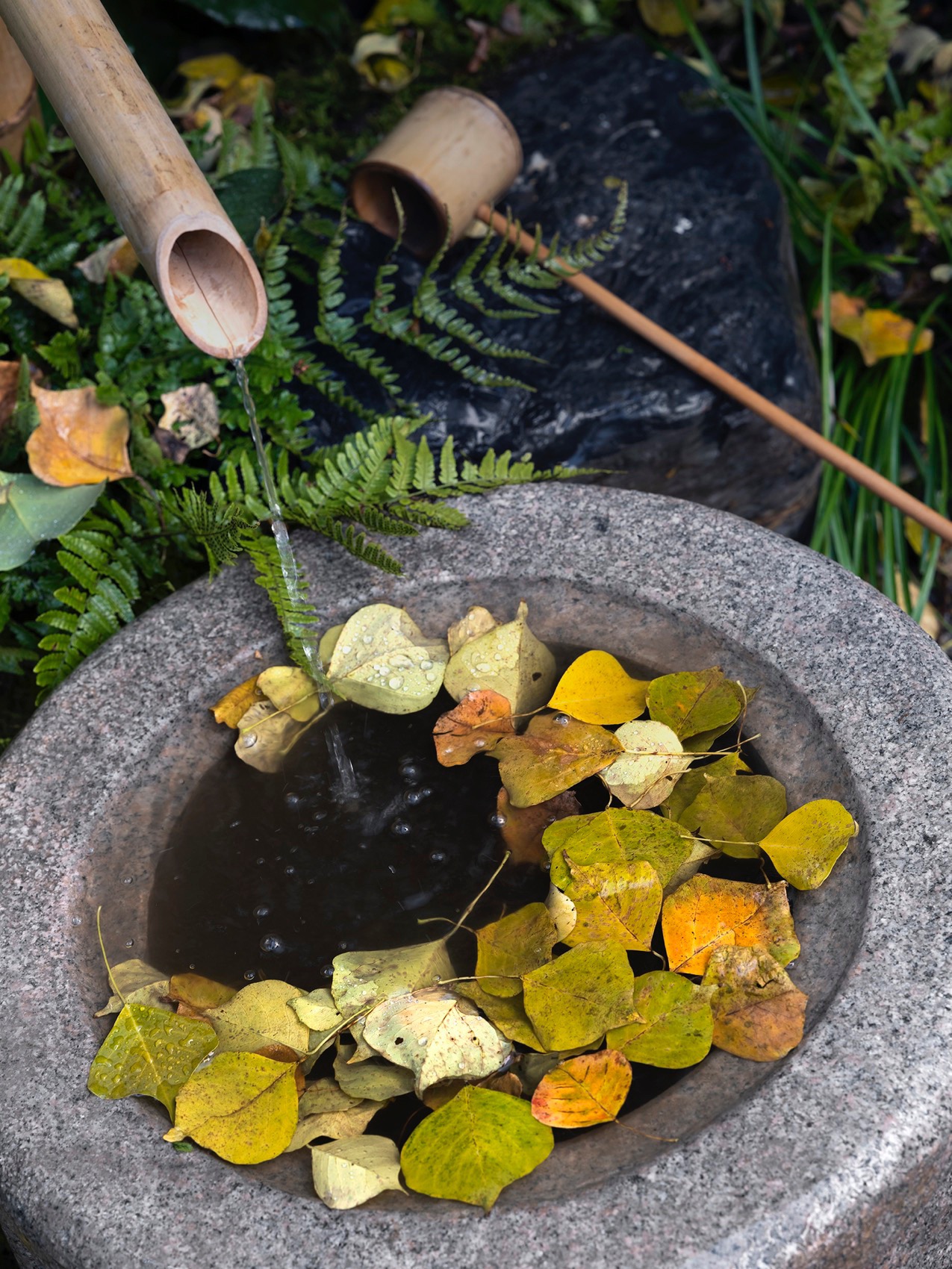 上海桃花源私庭营造丨中国上海丨墨刻丨無言斋造园-79