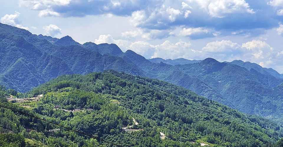 陕西汉中欢喜山森林生活公园丨中国汉中丨为至工作室-150