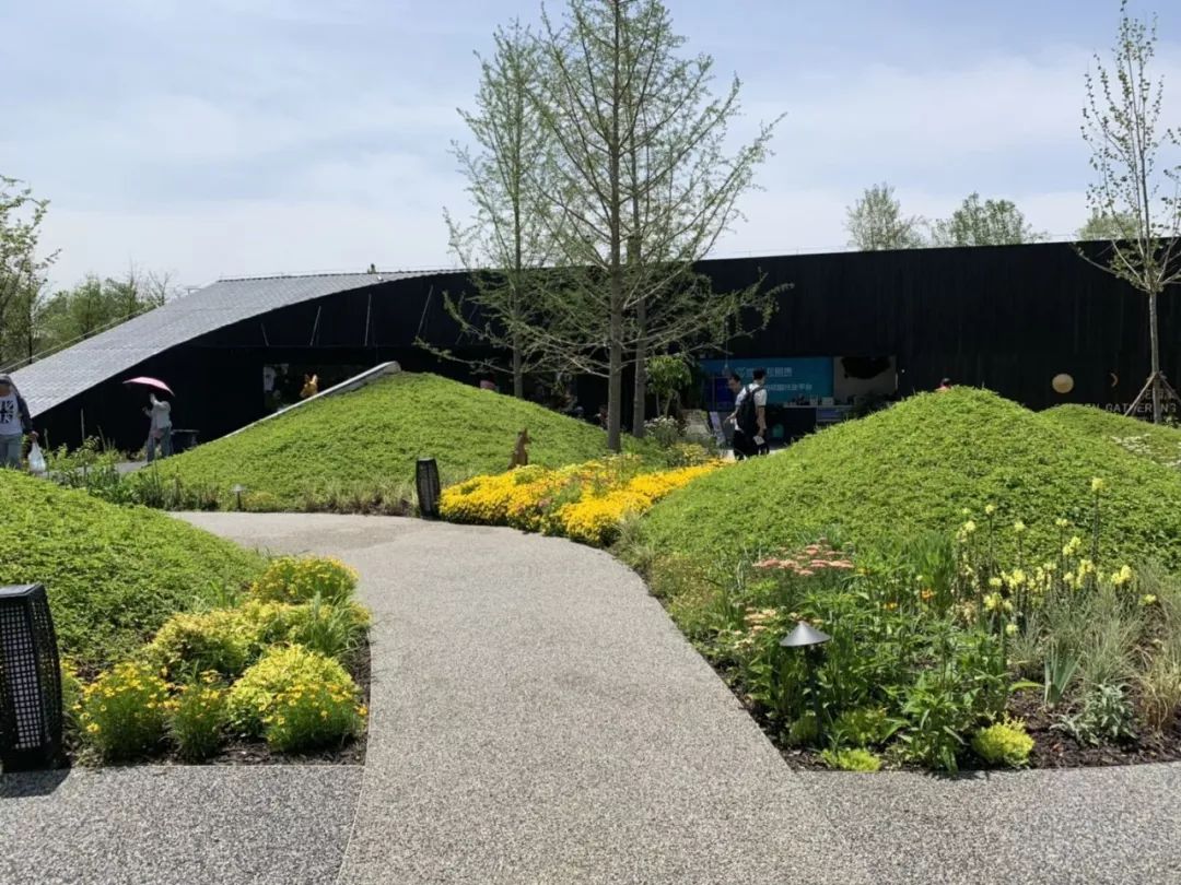 世园会澳大利亚园丨中国北京-67