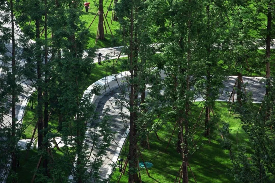 万科 17 英里 | 星空下的乐园生活-57