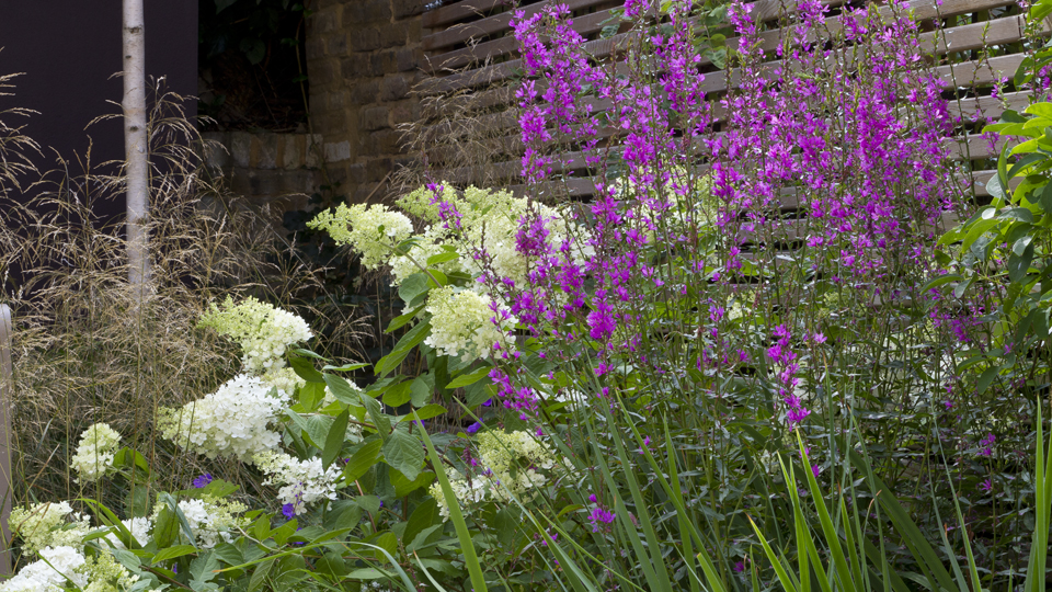 海德谷 约翰·戴维斯景观设计（这里假设Landscape结合语境是景观设计的意思，若有更准确的背景信息，可根据实际调整） -7