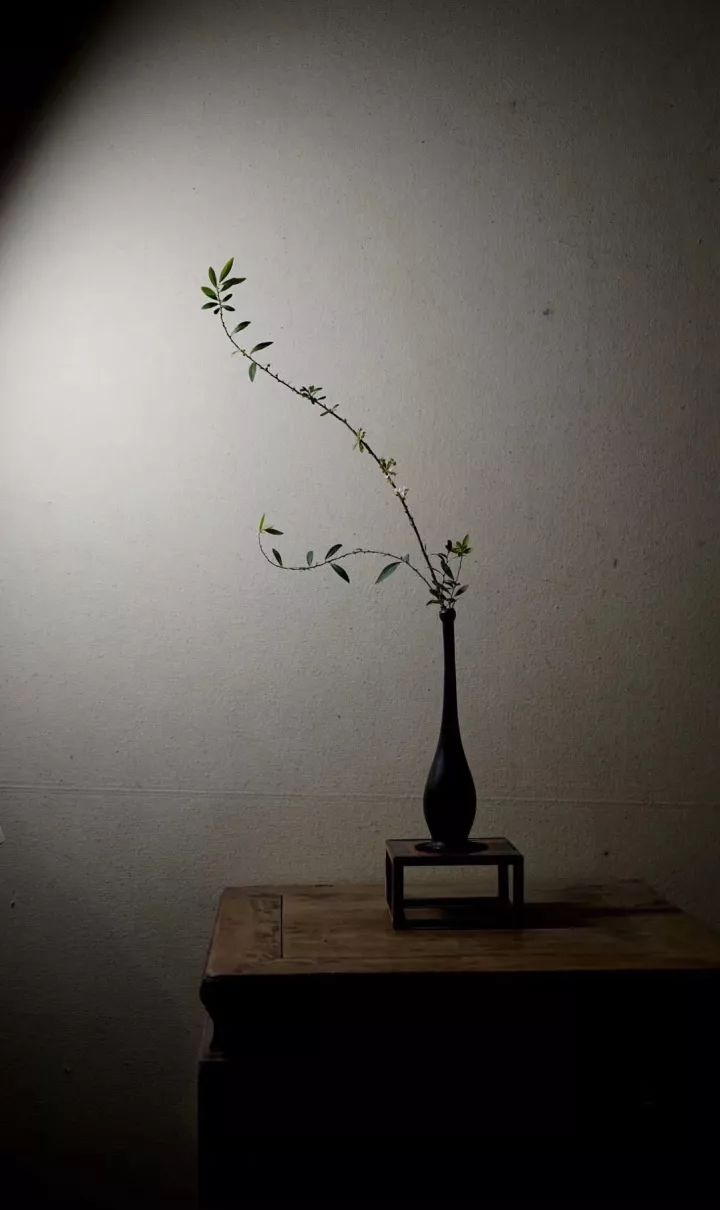 品味清雅生活，打造当代茶空间-16