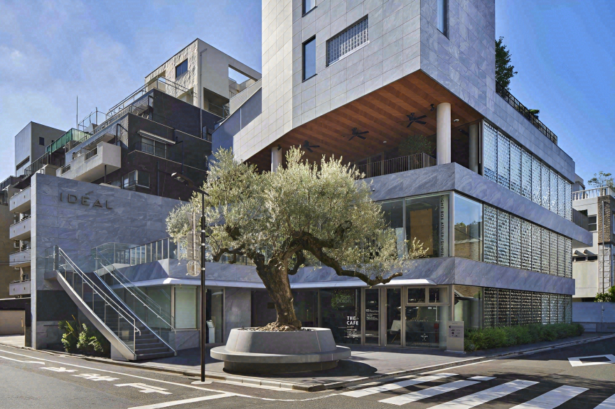 能剧场住宅丨日本东京丨中村拓志-4