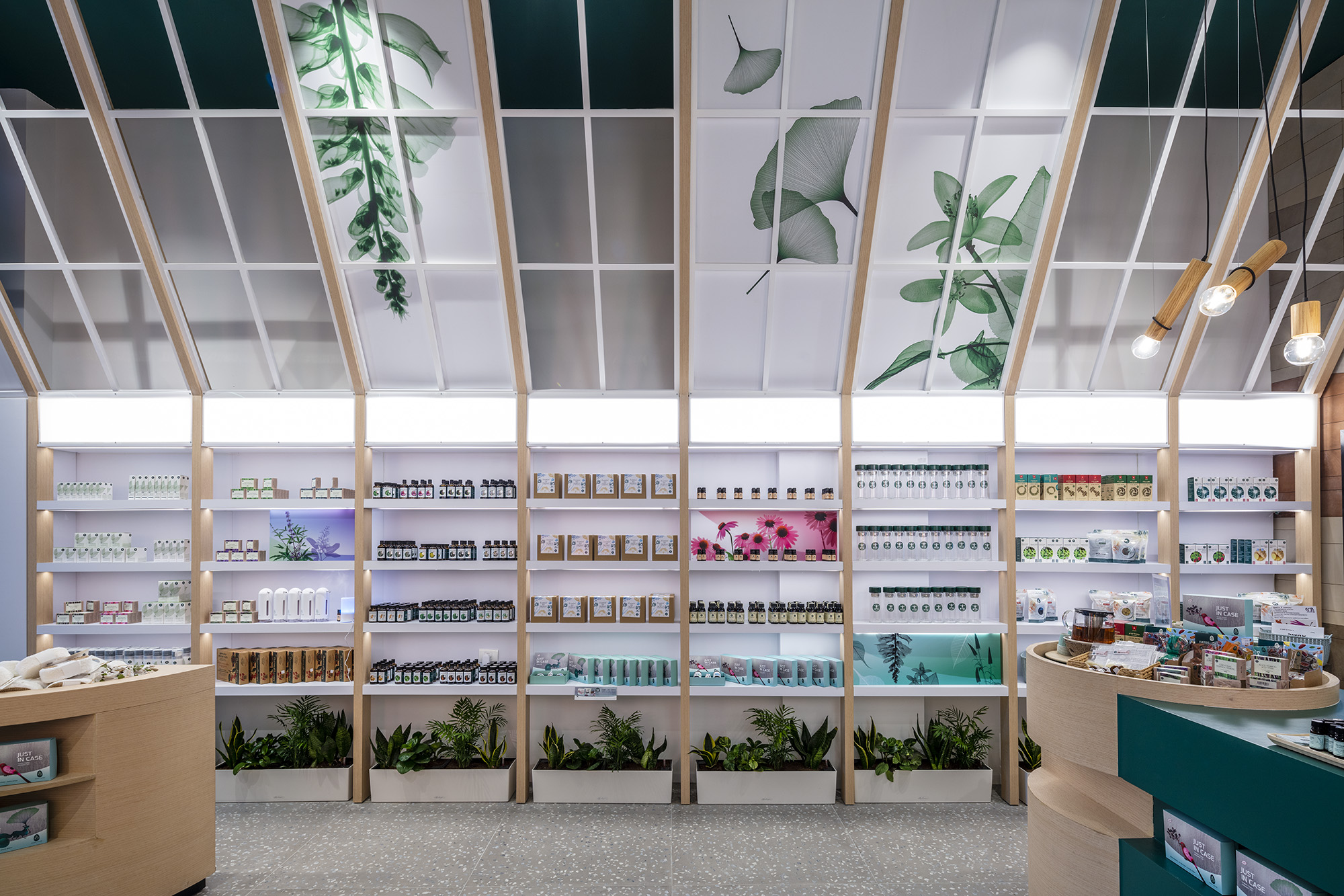 BARA 植物药房室内设计-20