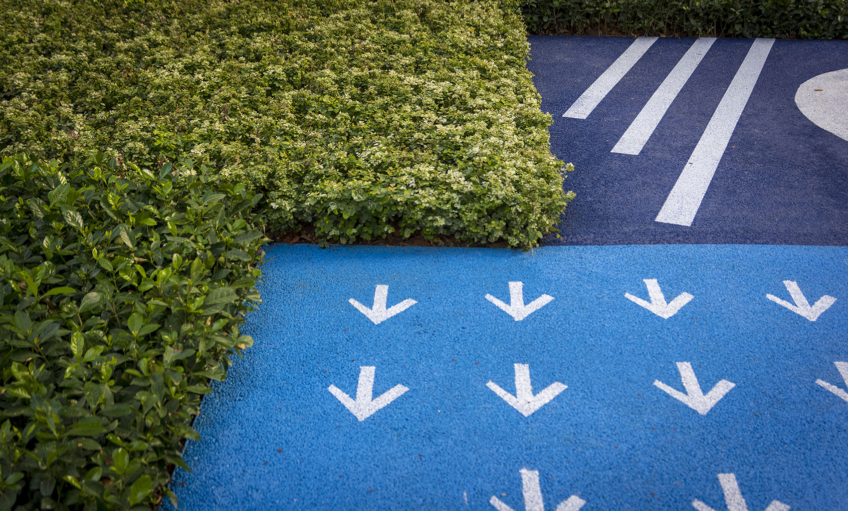 深圳仁恒公园世纪 – 四季新园丨中国深圳丨璞玉度假景观设计事务所-55