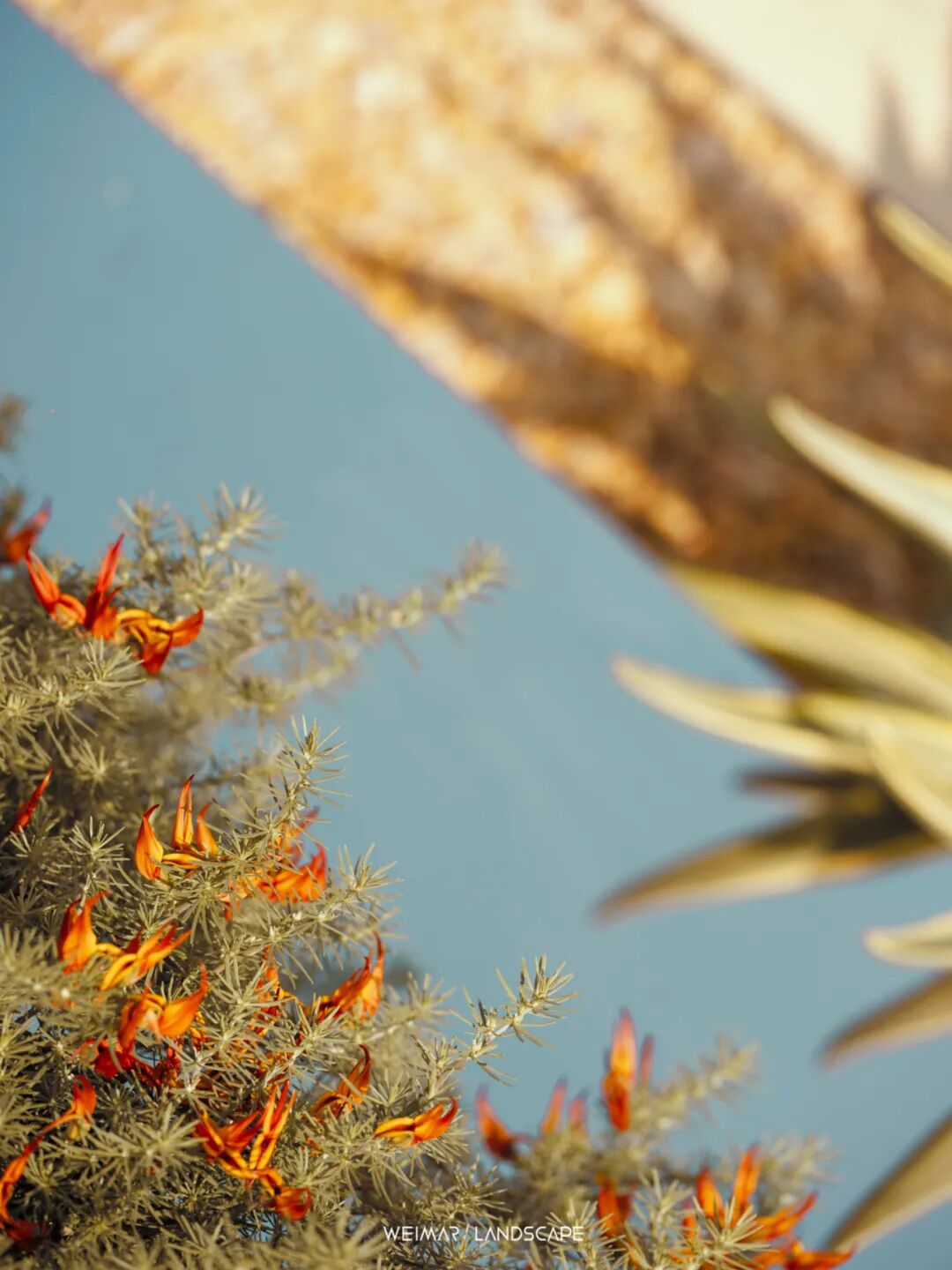 天琴澄音|万华麓湖C16样板岛-160