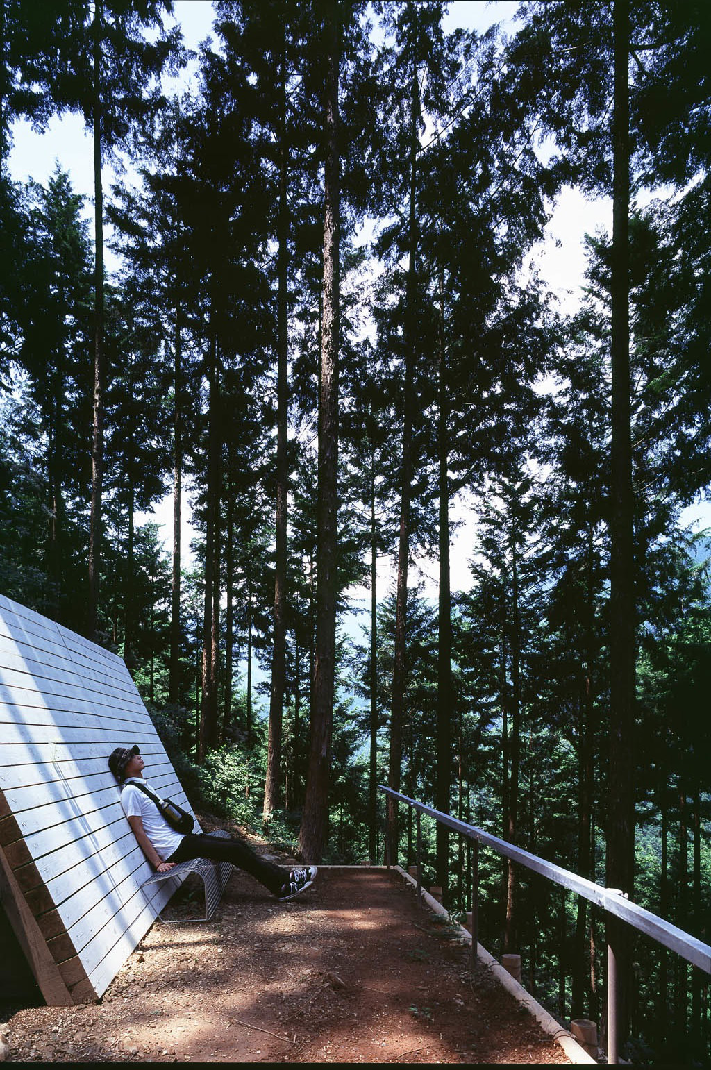 奥多摩森林疗法之路丨日本东京-7