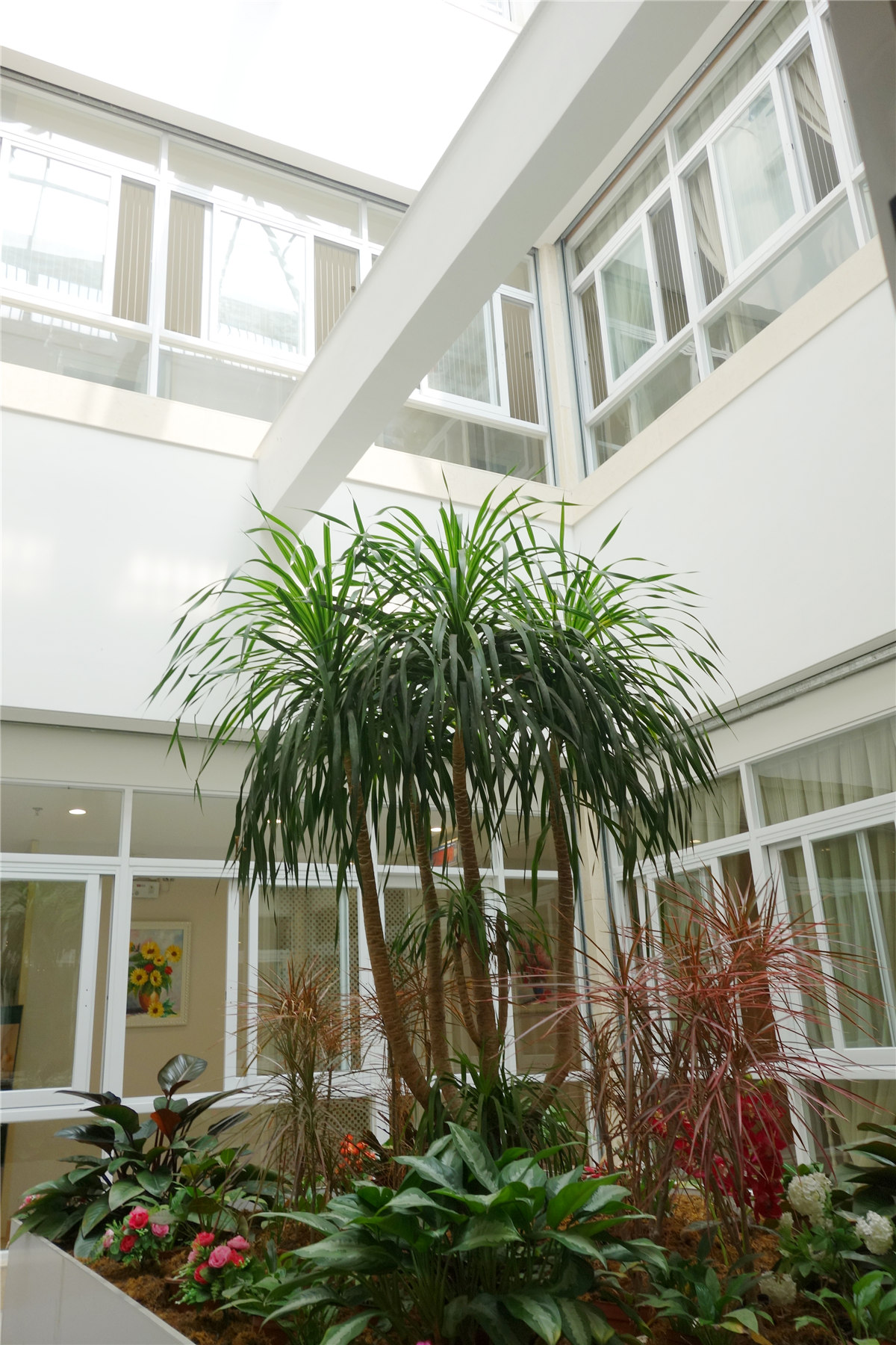 佛山广意乐善居颐养院改造项目-5