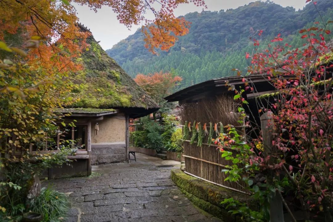 原研哉独家推荐！12 个日本隐秘温泉旅馆设计亮点-121