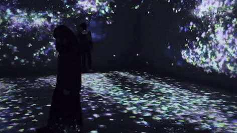 teamLab 2017 深圳北京大展：舞蹈吧，艺术！寓教于乐的未来游乐园！-54