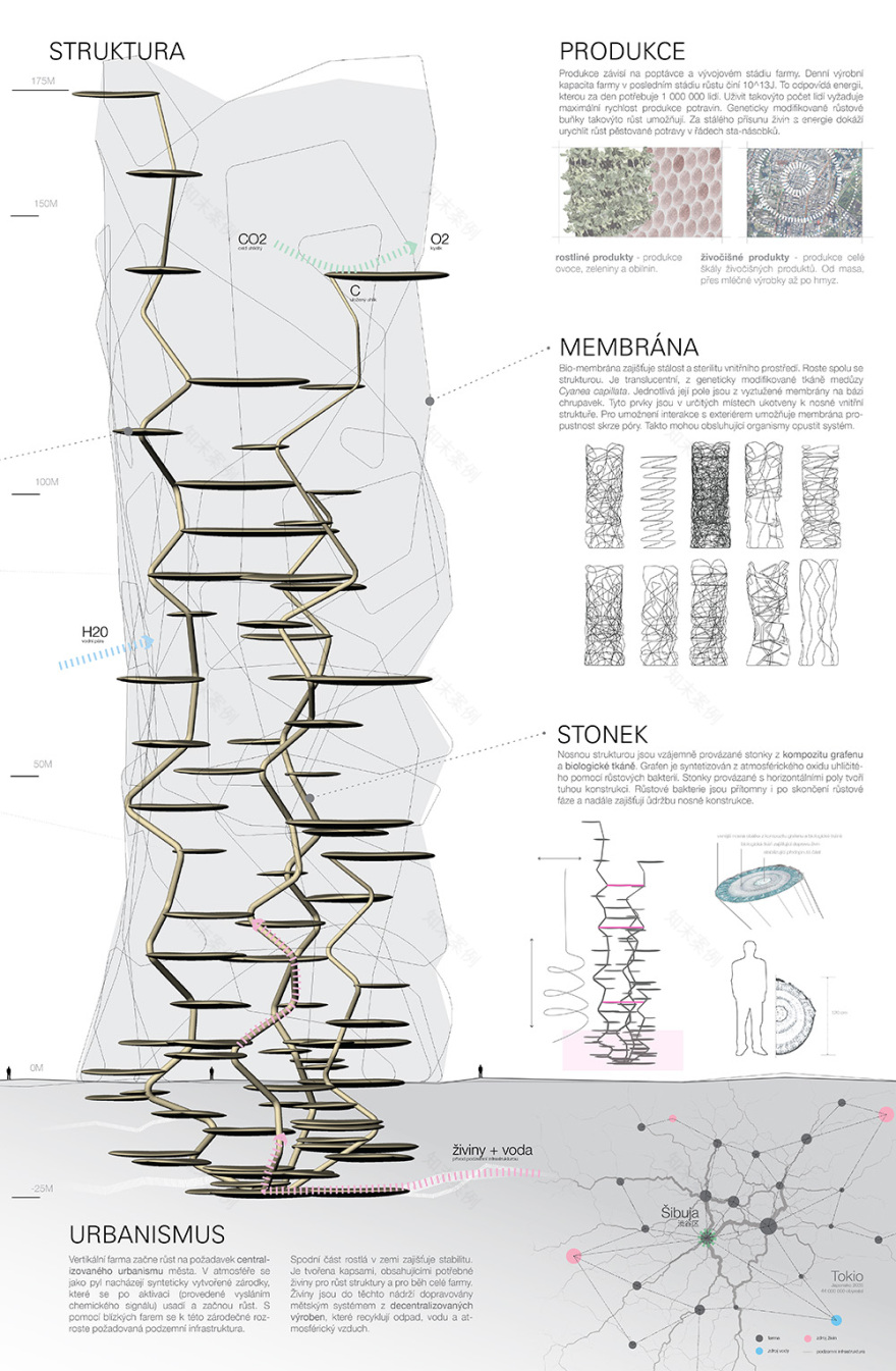 Biota | David Friml-33
