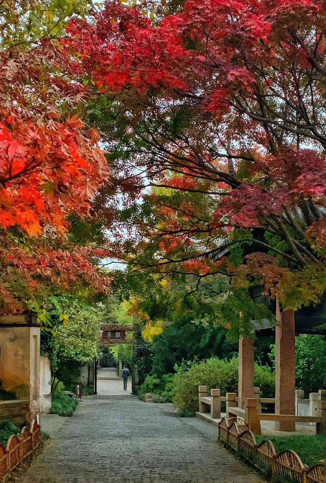 寄畅园 · 山水之间的静谧园林之美丨中国无锡-27