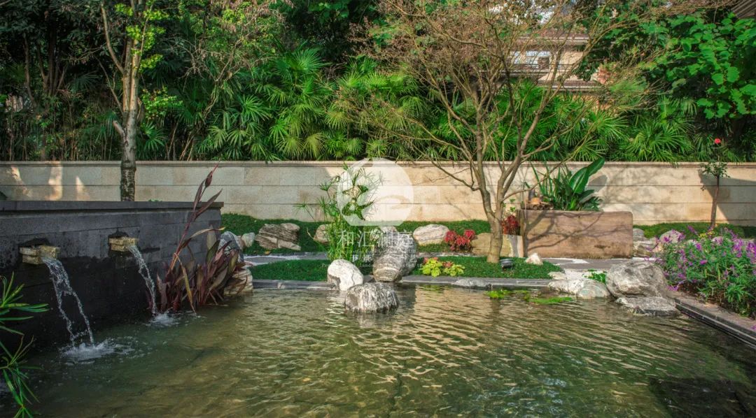 画龙点睛——庭院植物搭配解析-46