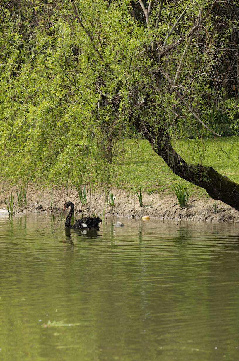 上海养云安缦社区-24
