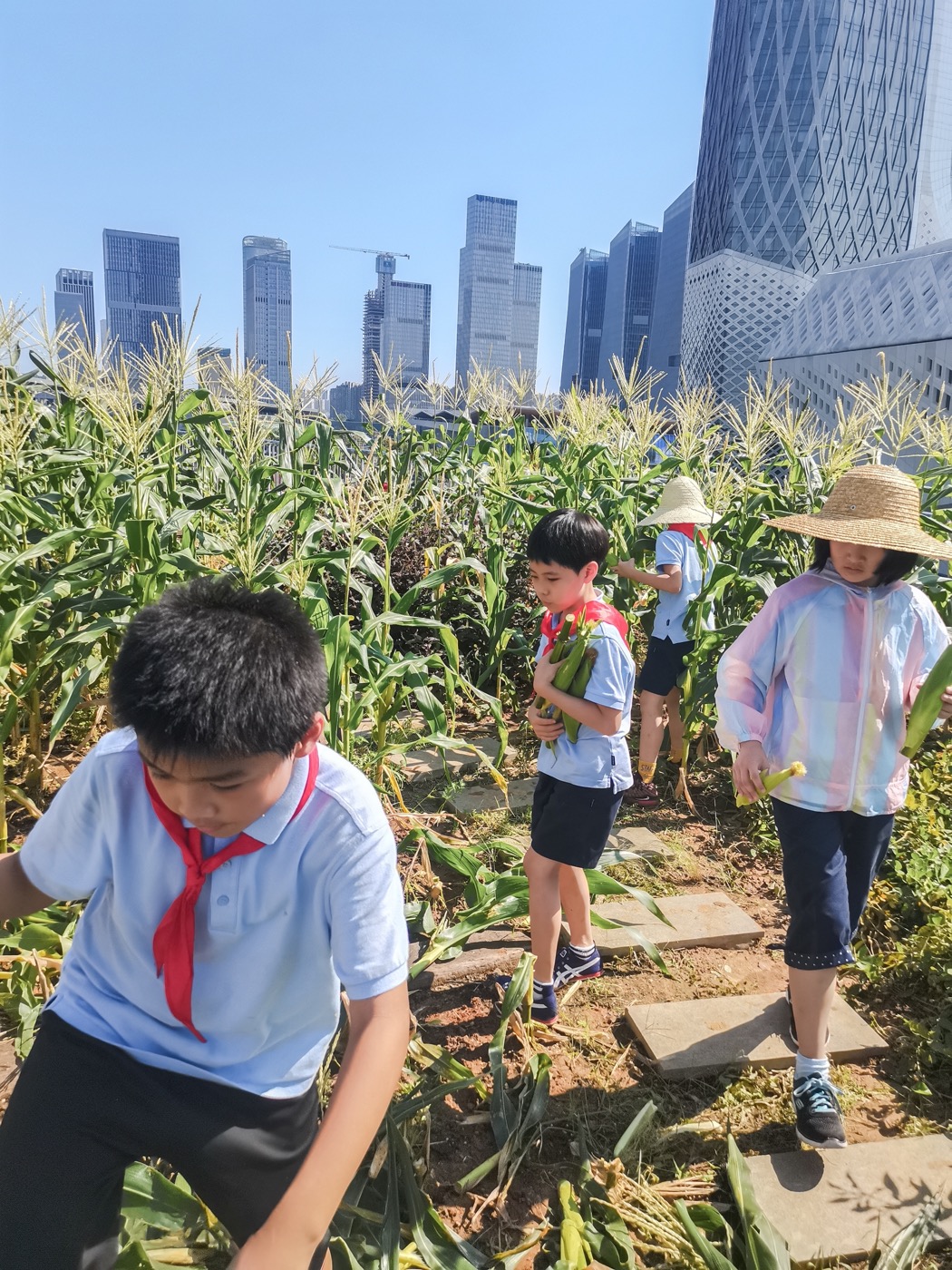 南京志远外语学校天空之园丨中国南京丨南京林业大学风景园林学院团队-30