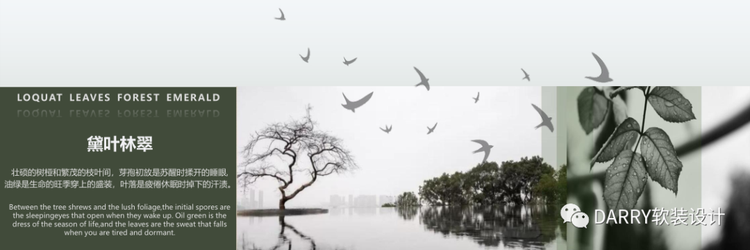 |DARRY·戴瑞软装 | 黛叶林翠，韵染东方-1