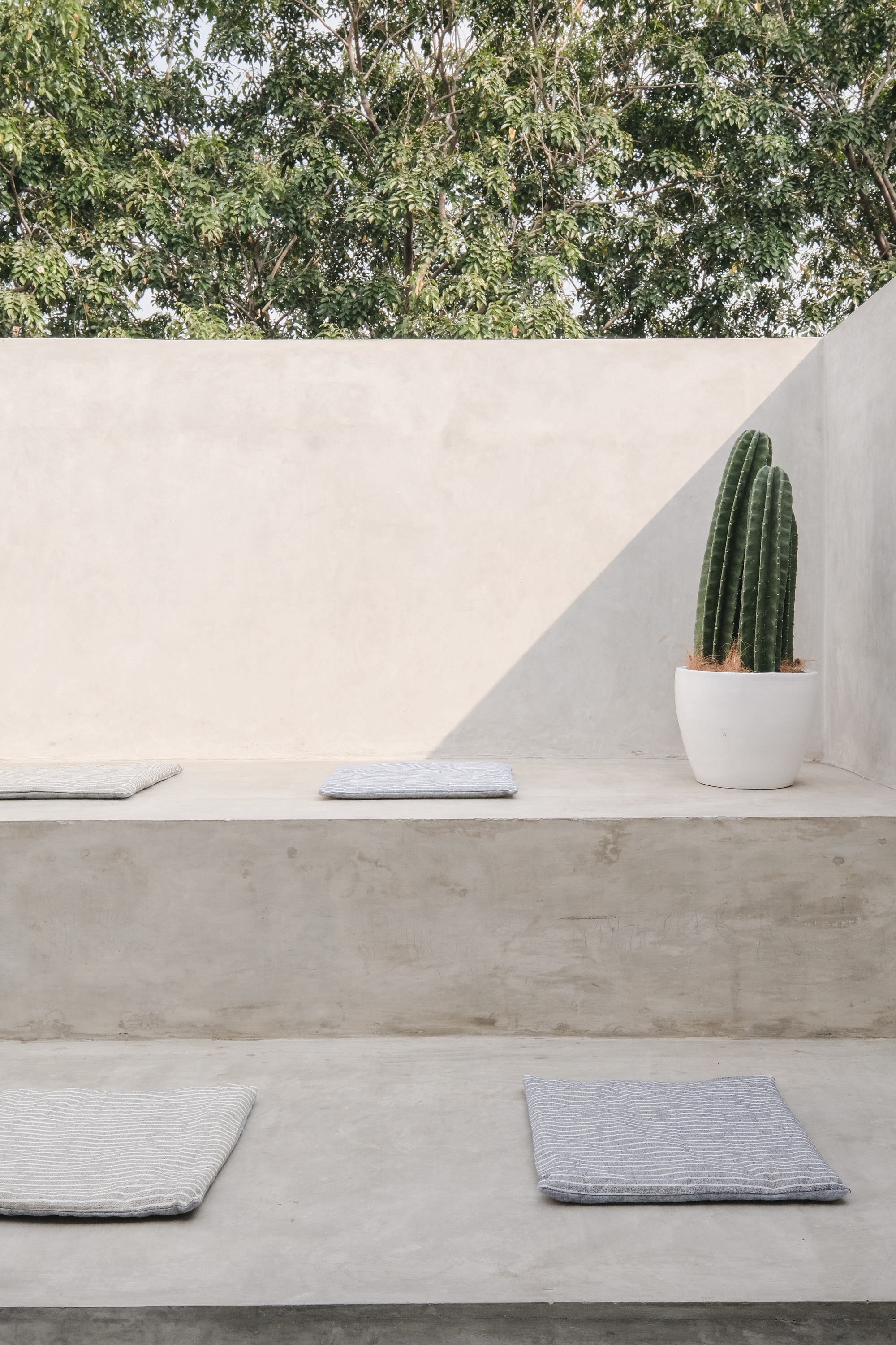 Ambivert House / TRST Architect-33