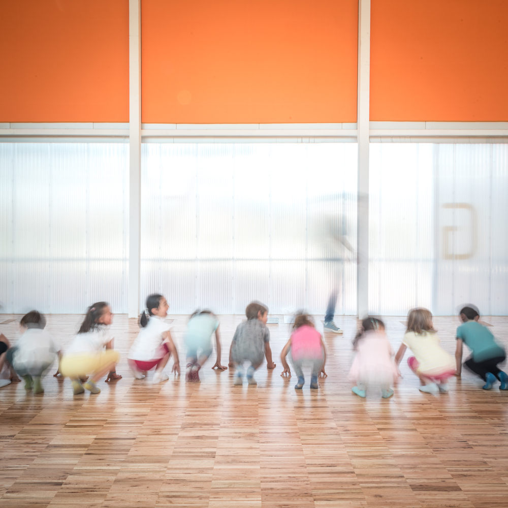 西班牙NuestraSeñorade Lourdes学校体育馆-13