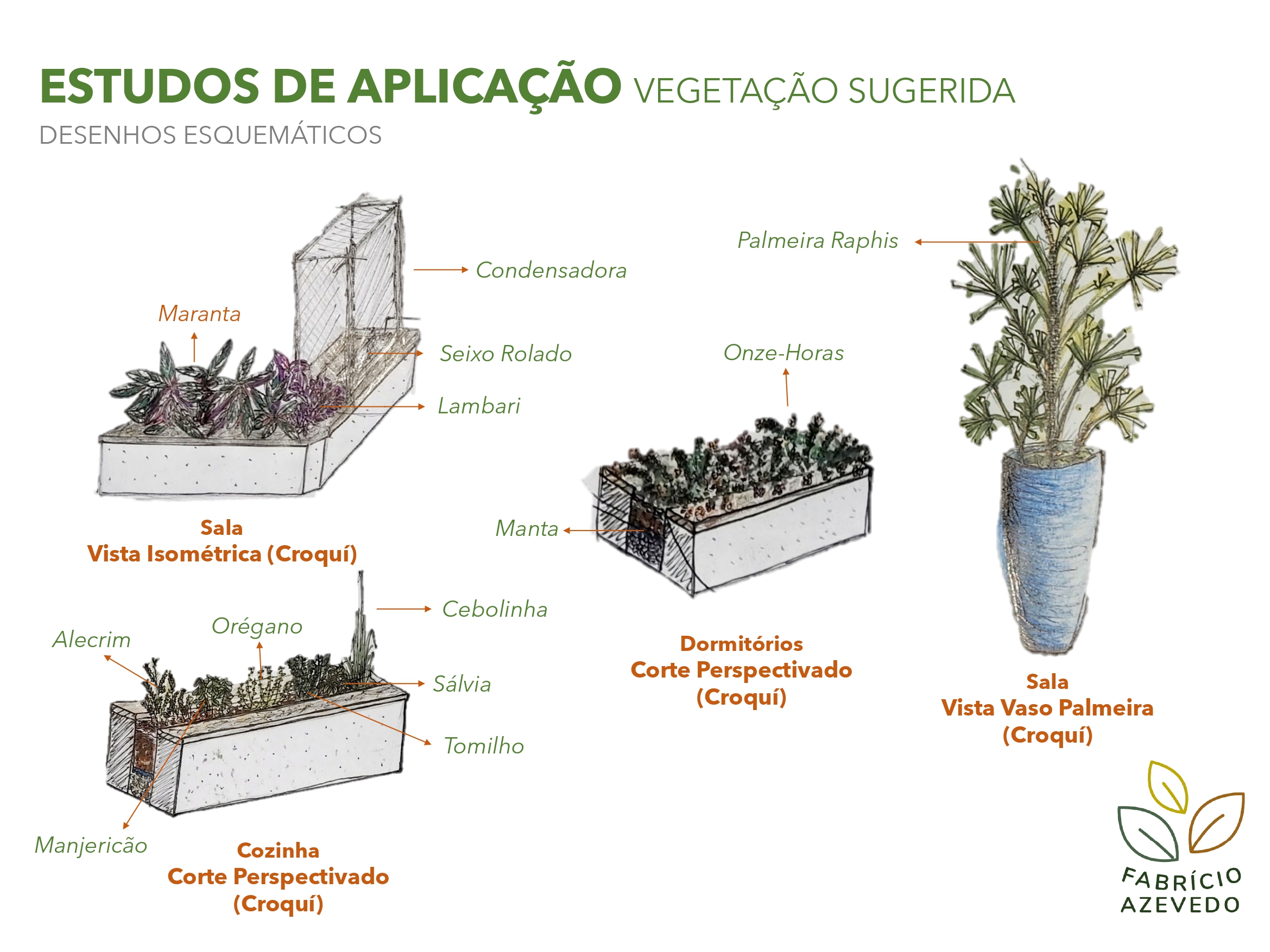 Proposta de Vegetação para Jardineiras - Projeto Thiago-6