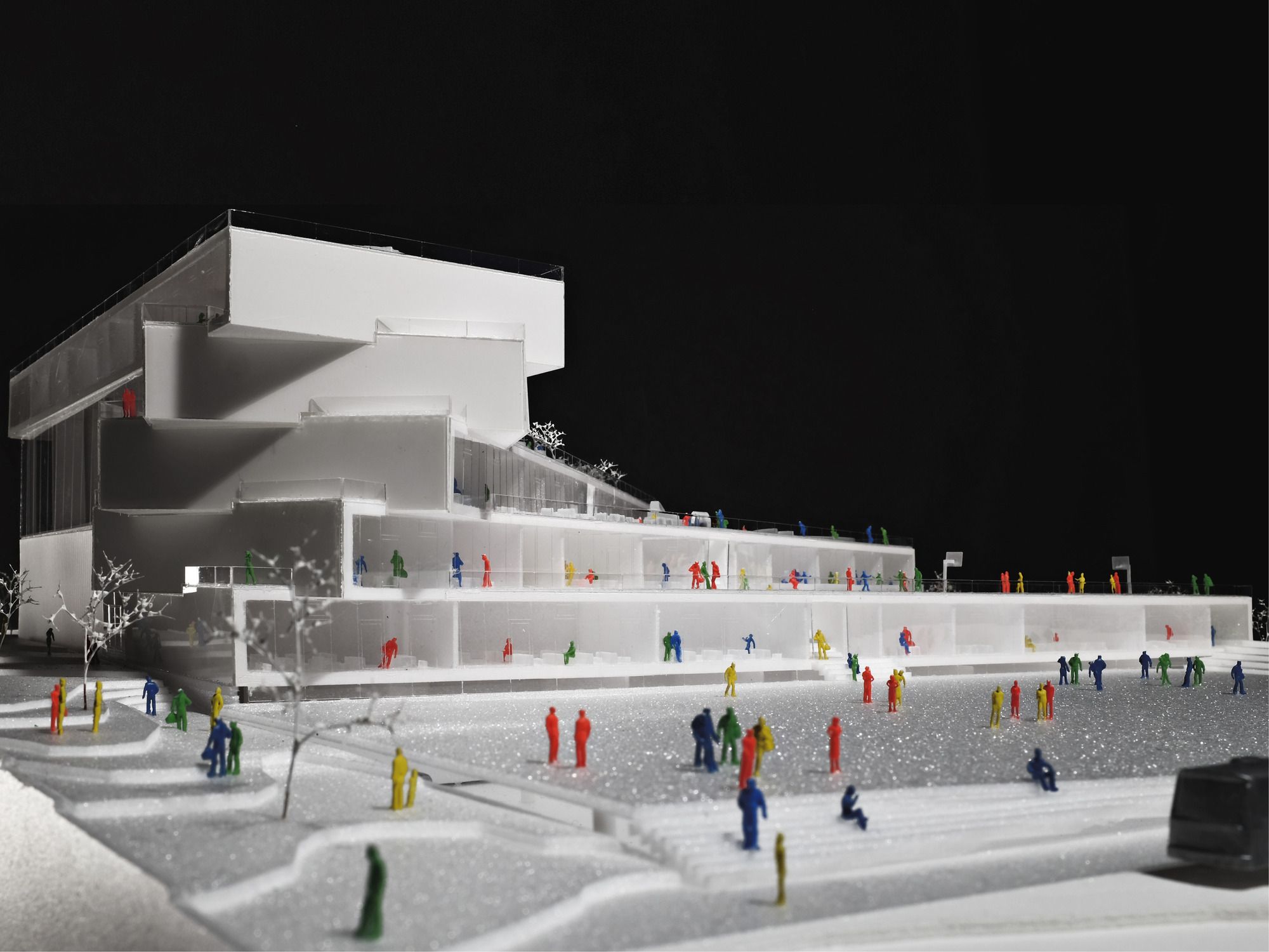 威尔逊中学·大·比雅克·英格斯-30