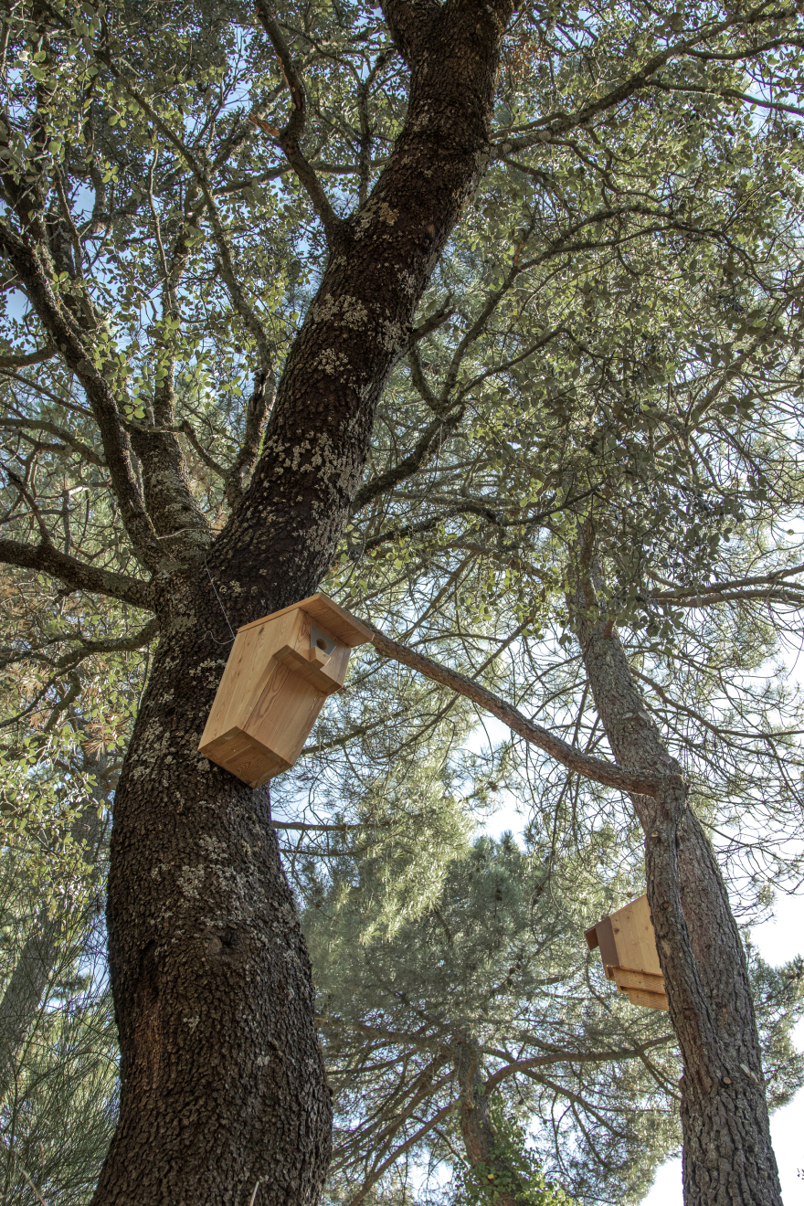 爱的小屋,(远程)工作住所丨西班牙马德里丨Husos Architects-43