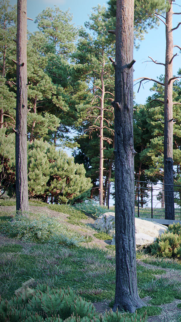 木屋丨Campiteli Arquitetura-11