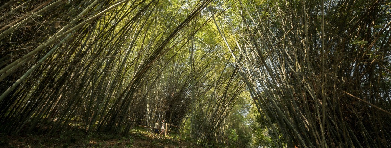 金三角四季帐篷营地 | 探险与奢华的完美结合-9