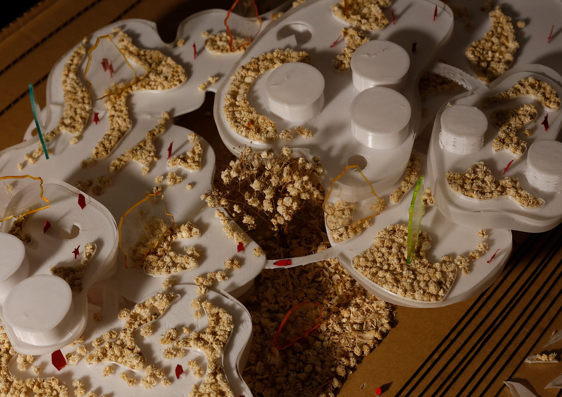 EXHIBITION CENTERS & PROMOTION OF AGRICULTURAL PRODUCTS-11