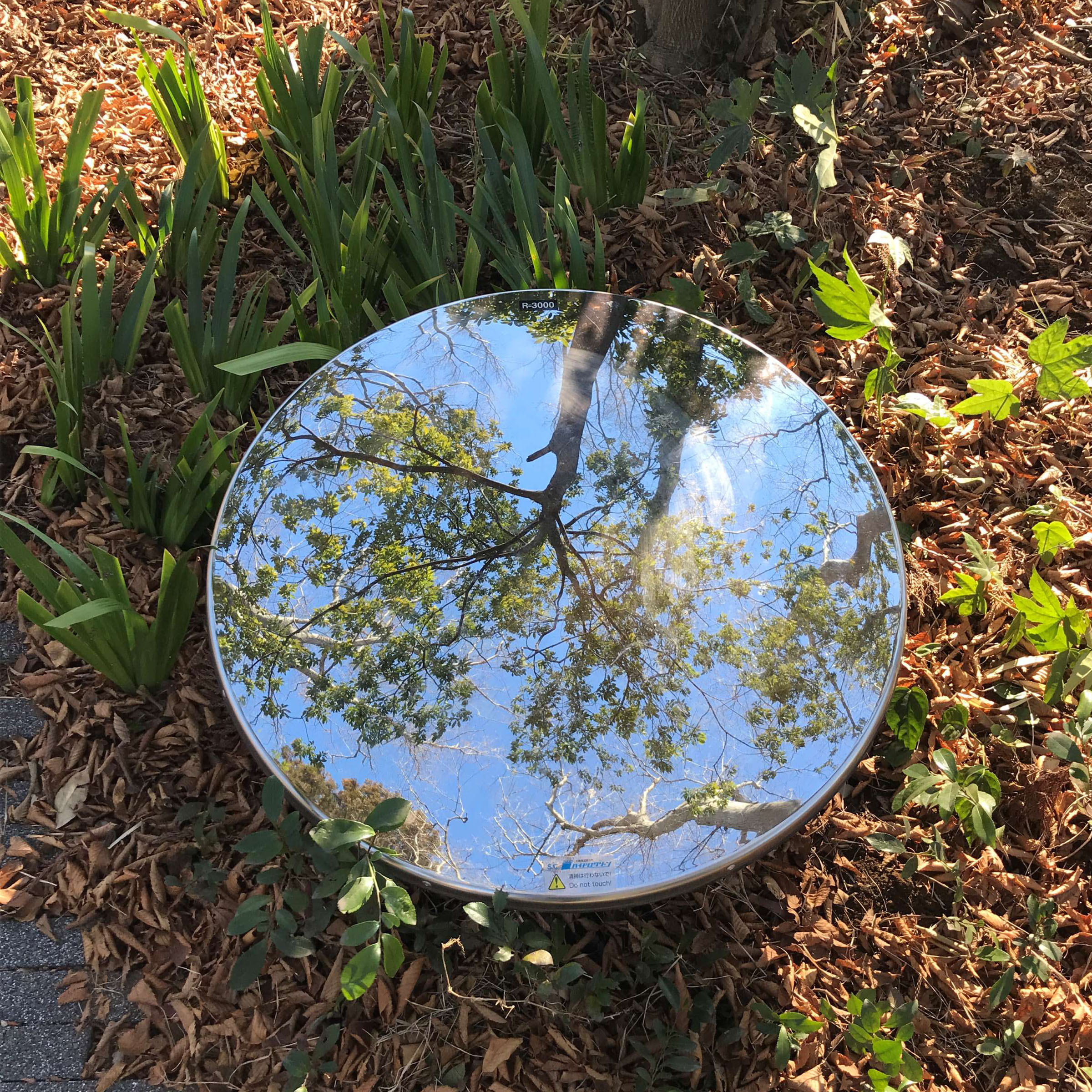 绽放的风 (Bloom no kaze)-21