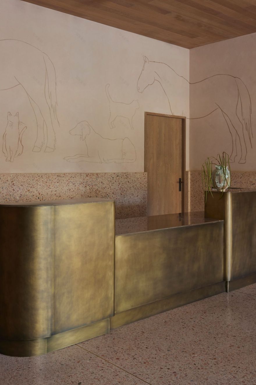 King Animal Hospital(国王动物医院)丨加拿大丨Kelly Wearstler(凯利·韦斯特勒)-5