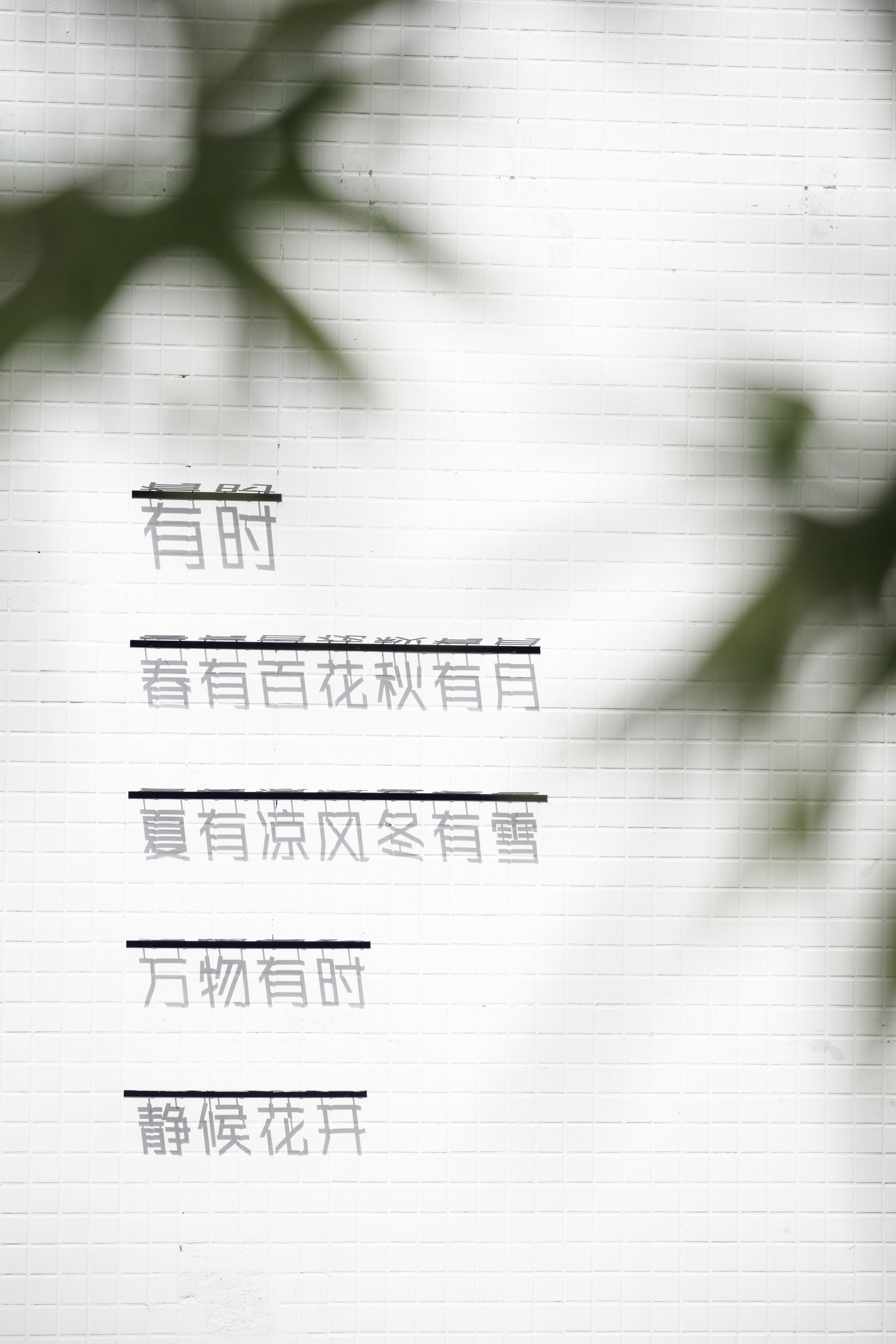 有时茶想丨中国广州丨广州市美林文化传播有限公司-41