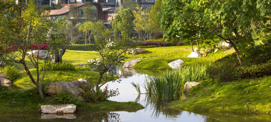 丨中国成都丨DTJ-0