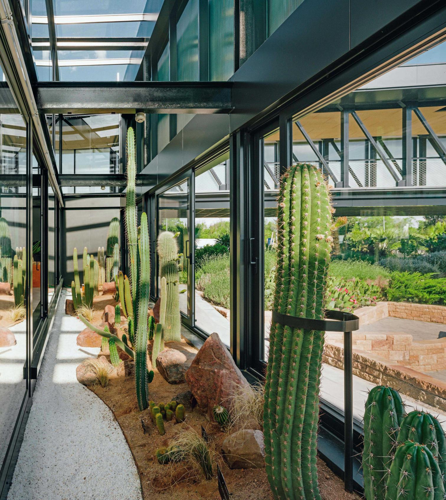 沙漠之城 | 双层氧吧的生态建筑设计-23