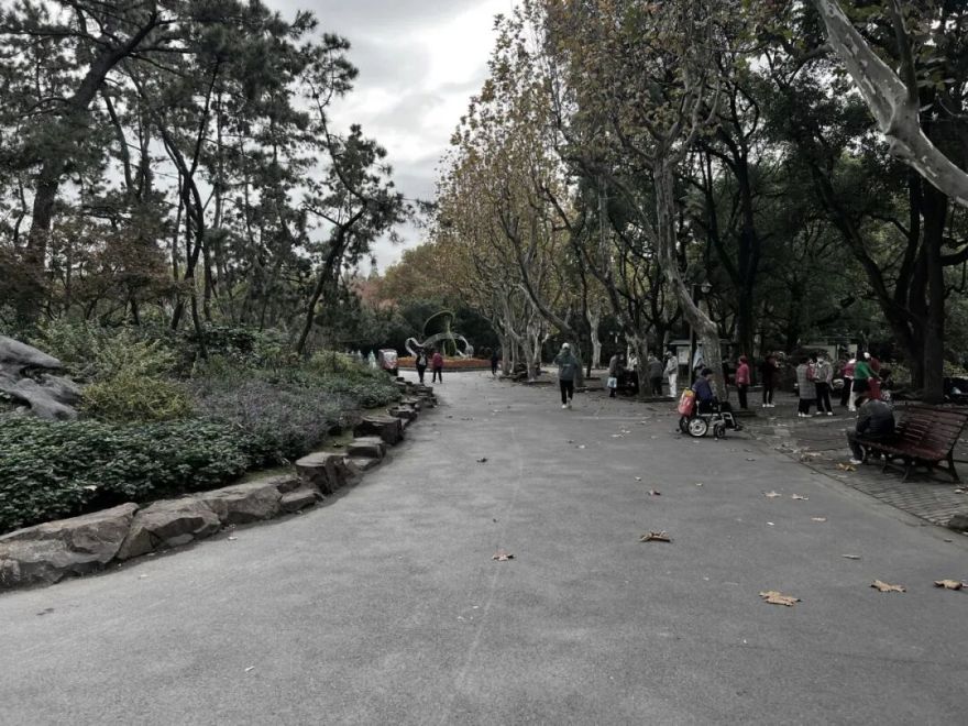 中国园林·理事专栏|“拓”之力量:杨浦公园改造纪实(三)-72