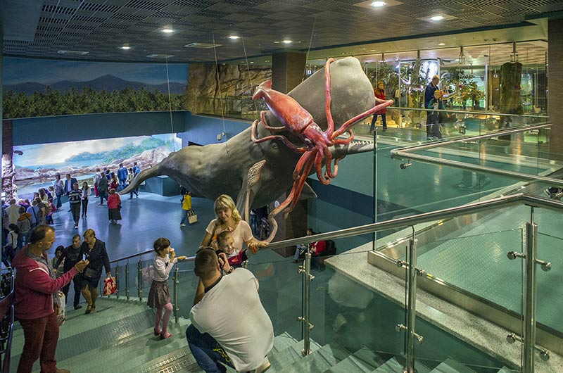 “Moskvarium”海洋馆丨俄罗斯莫斯科丨Aqua Logo Engineering-105